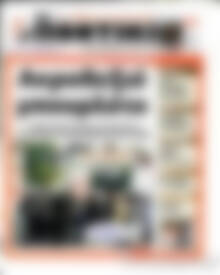 Το Ποντίκι