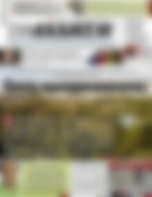Συνείδηση