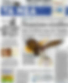 Τα Νέα