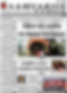 Λαμιακός Τύπος