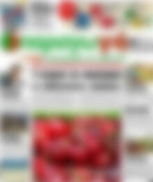 Πρωτοσέλιδο Παραγωγή