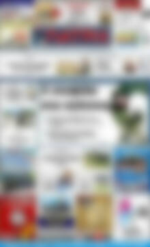 Πατρίς