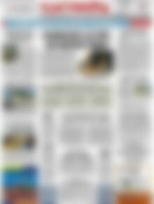 Πρωτοσέλιδο Ελευθερία