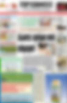 Πρωτοσέλιδο Πρωινός Τύπος
