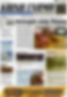 Πρωτοσέλιδο Κοινή Γνώμη