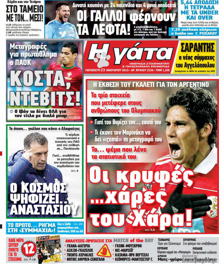 Η Γάτα