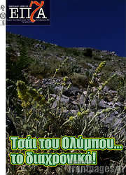 /Πολιτεία
