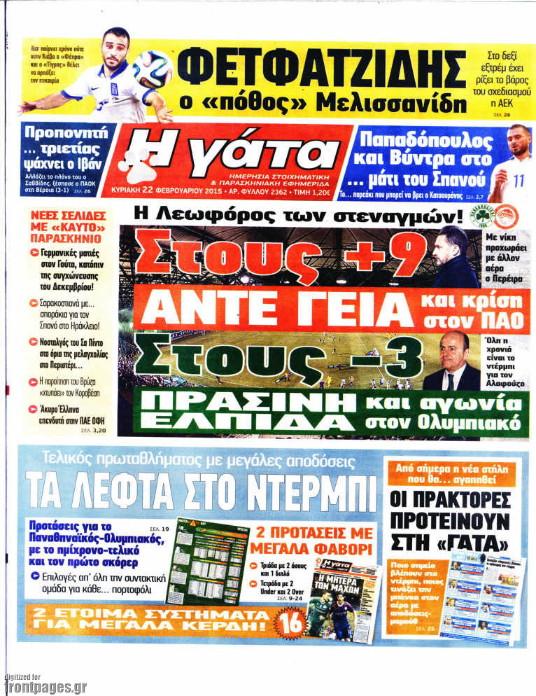 Η Γάτα