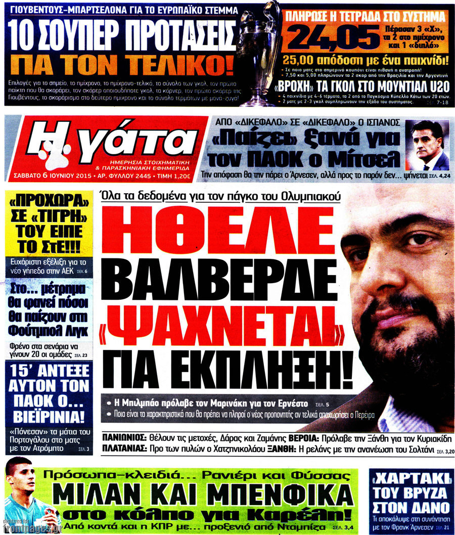 Η Γάτα