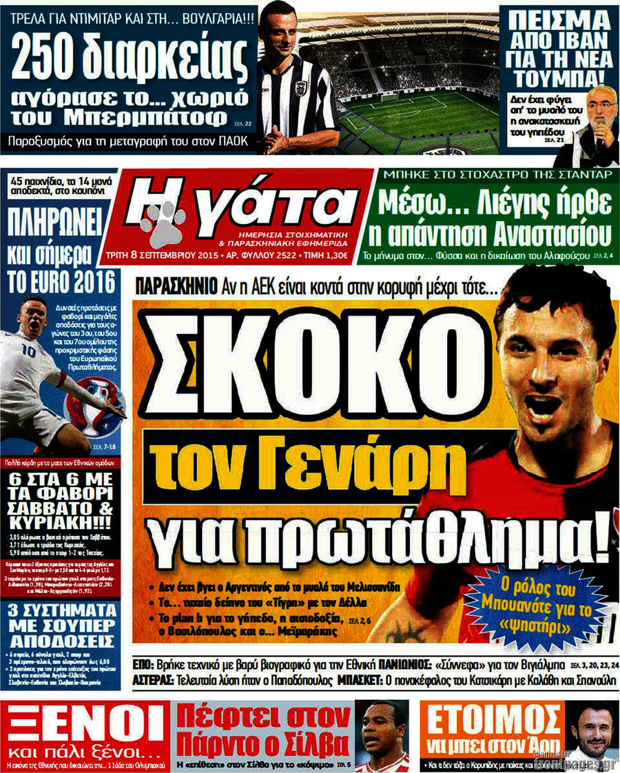 Η Γάτα