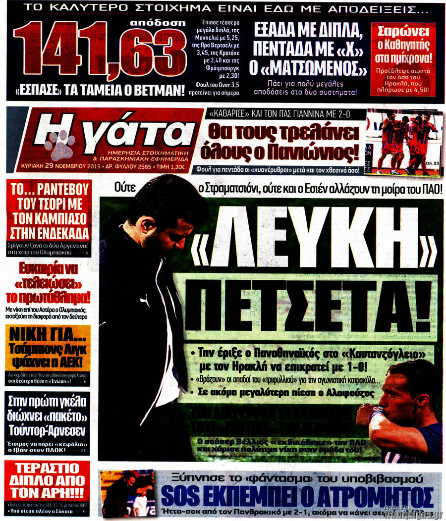 Η Γάτα
