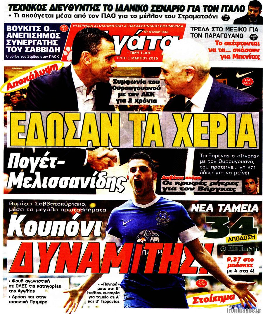 Η Γάτα