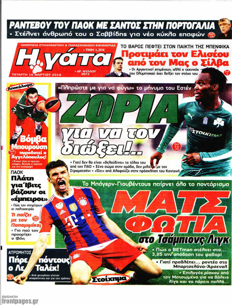 Η Γάτα