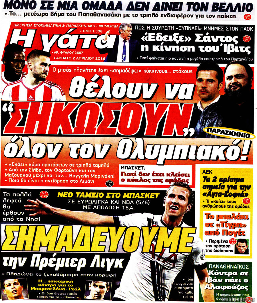 Η Γάτα