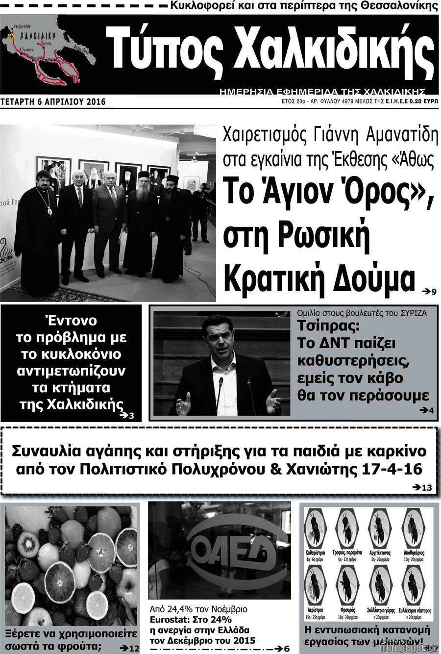 Τύπος Χαλκιδικής