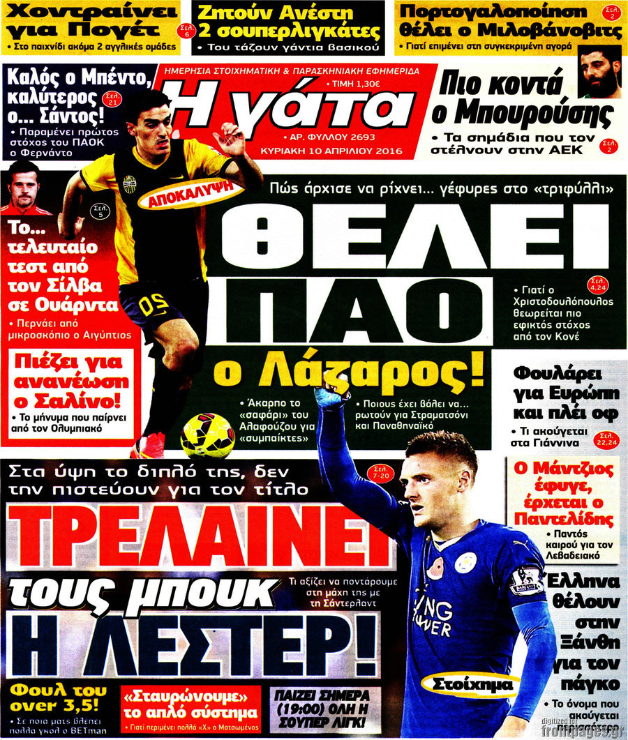 Η Γάτα