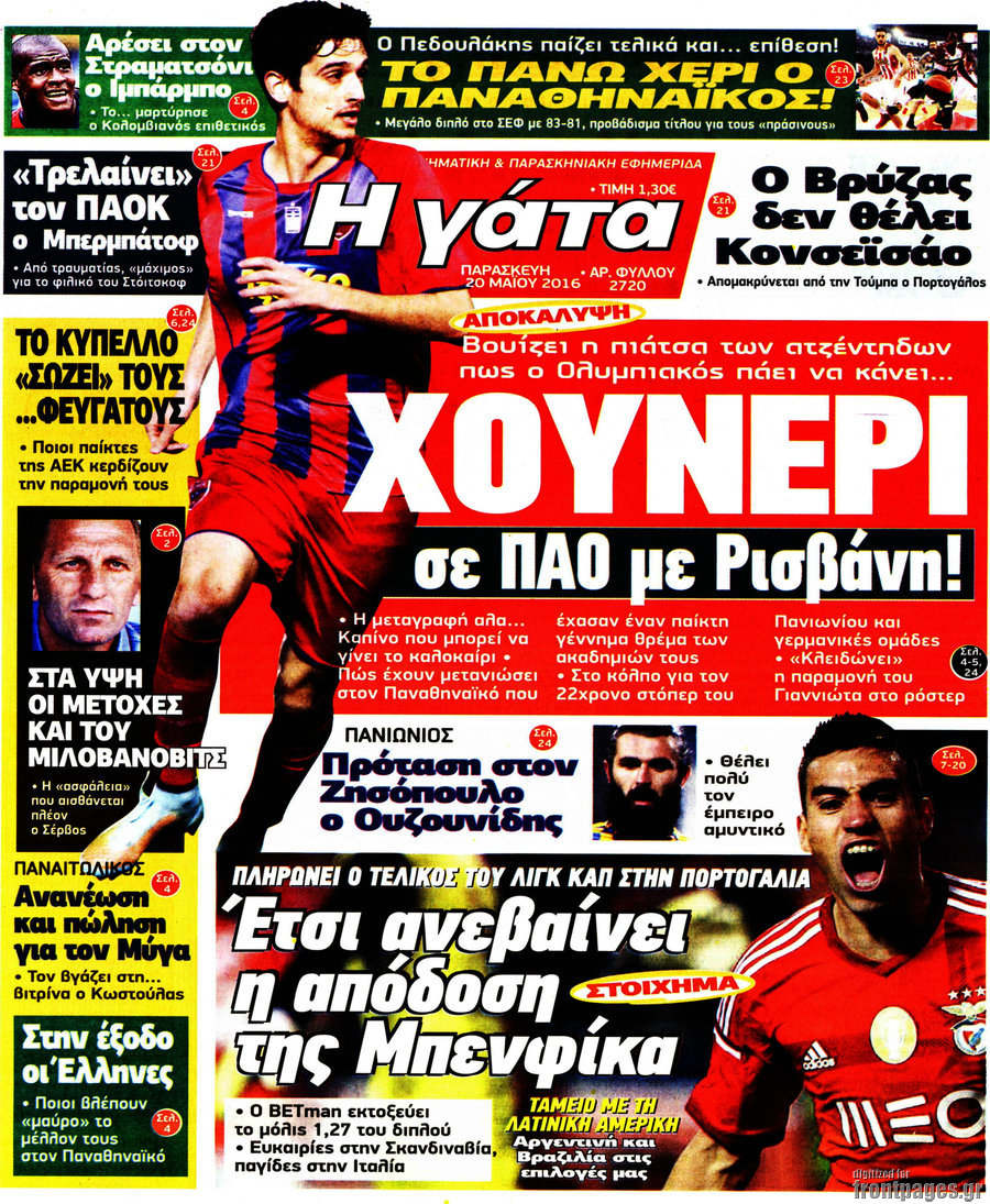 Η Γάτα