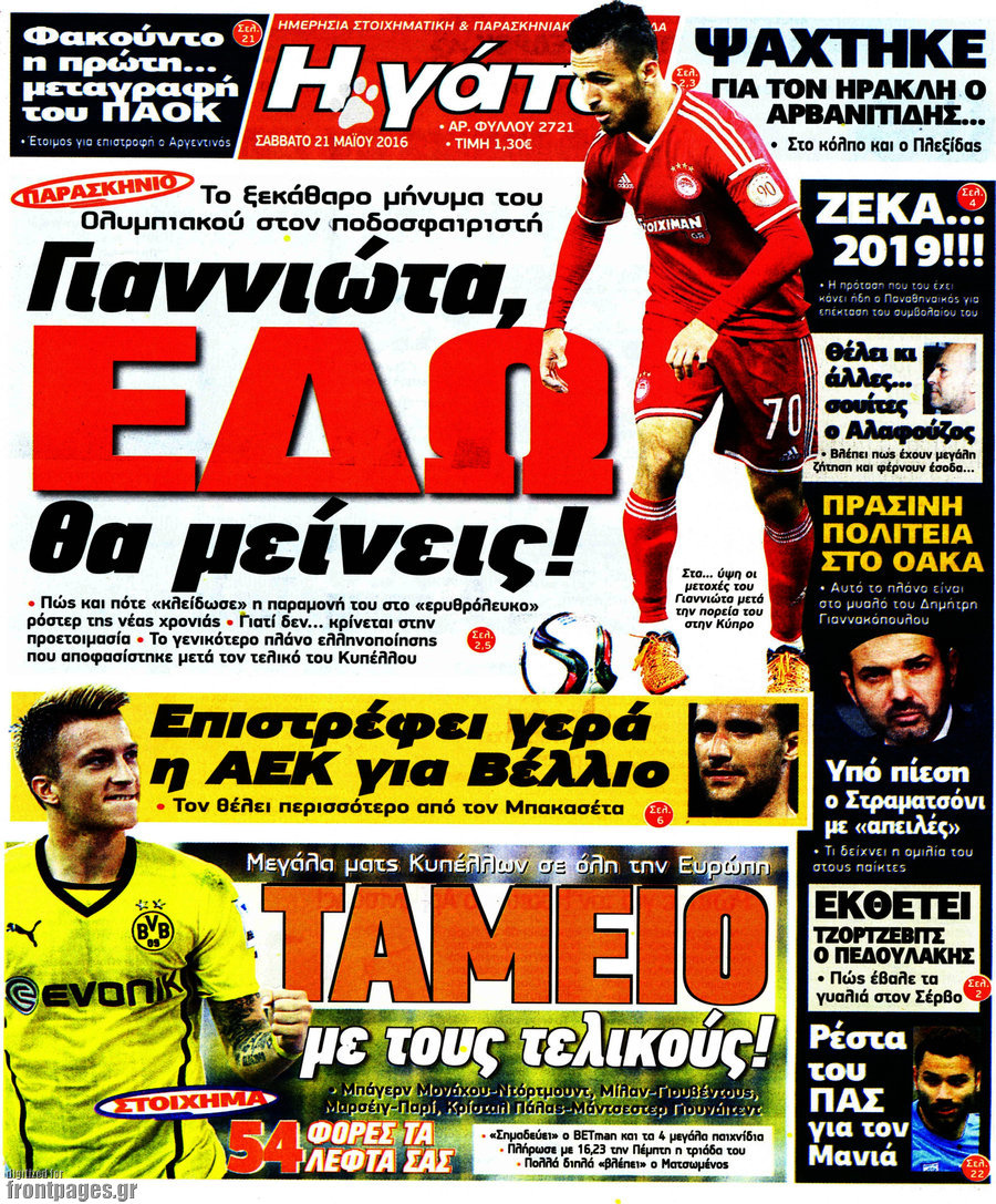 Η Γάτα