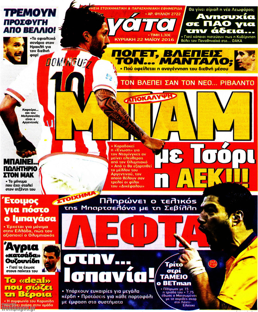 Η Γάτα