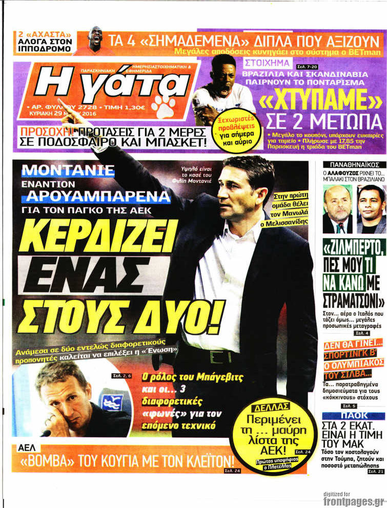 Η Γάτα