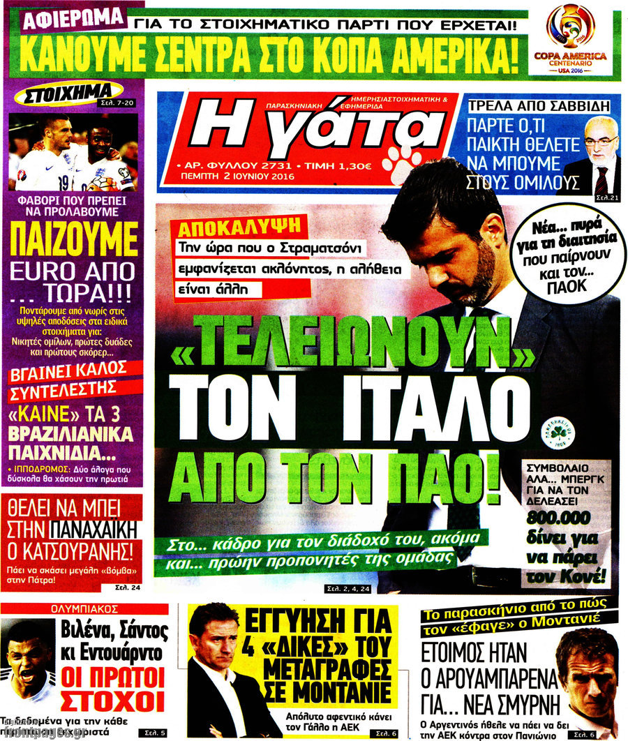 Η Γάτα