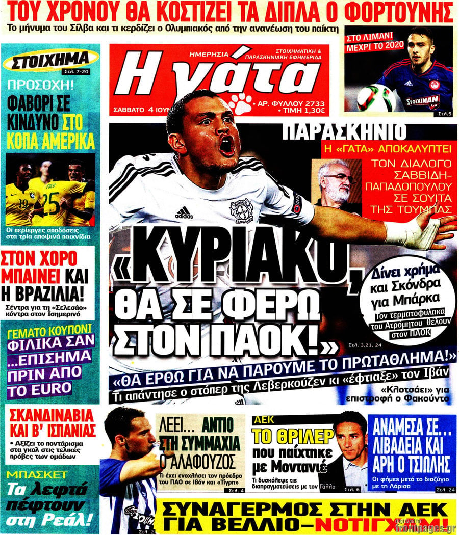 Η Γάτα