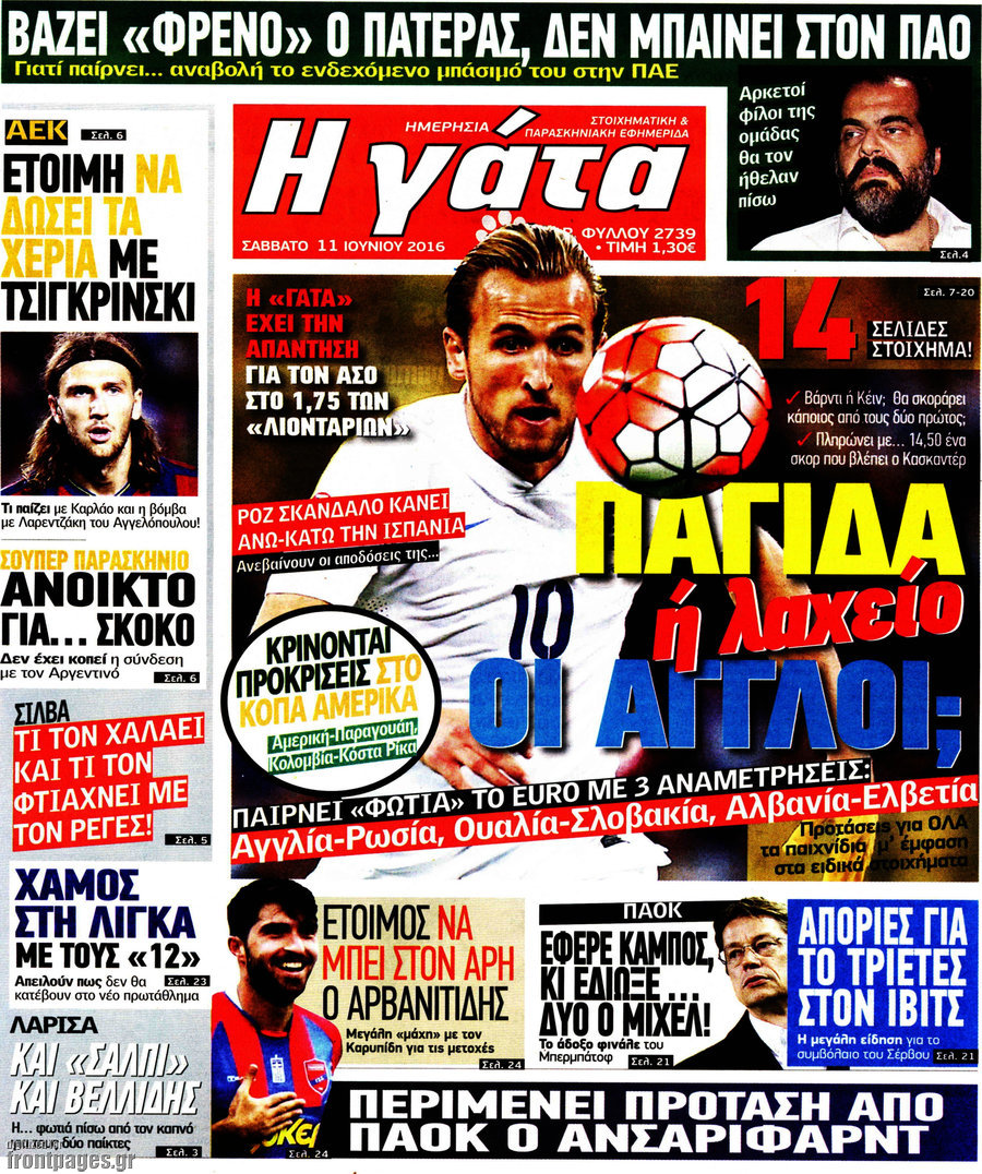 Η Γάτα