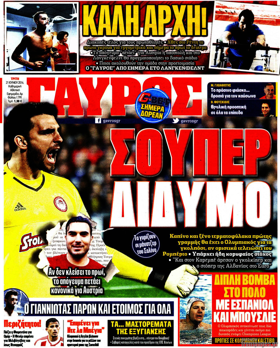 Γαύρος