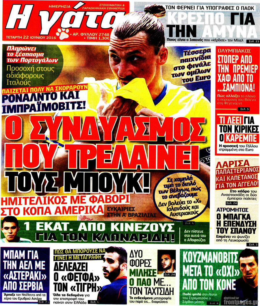 Η Γάτα