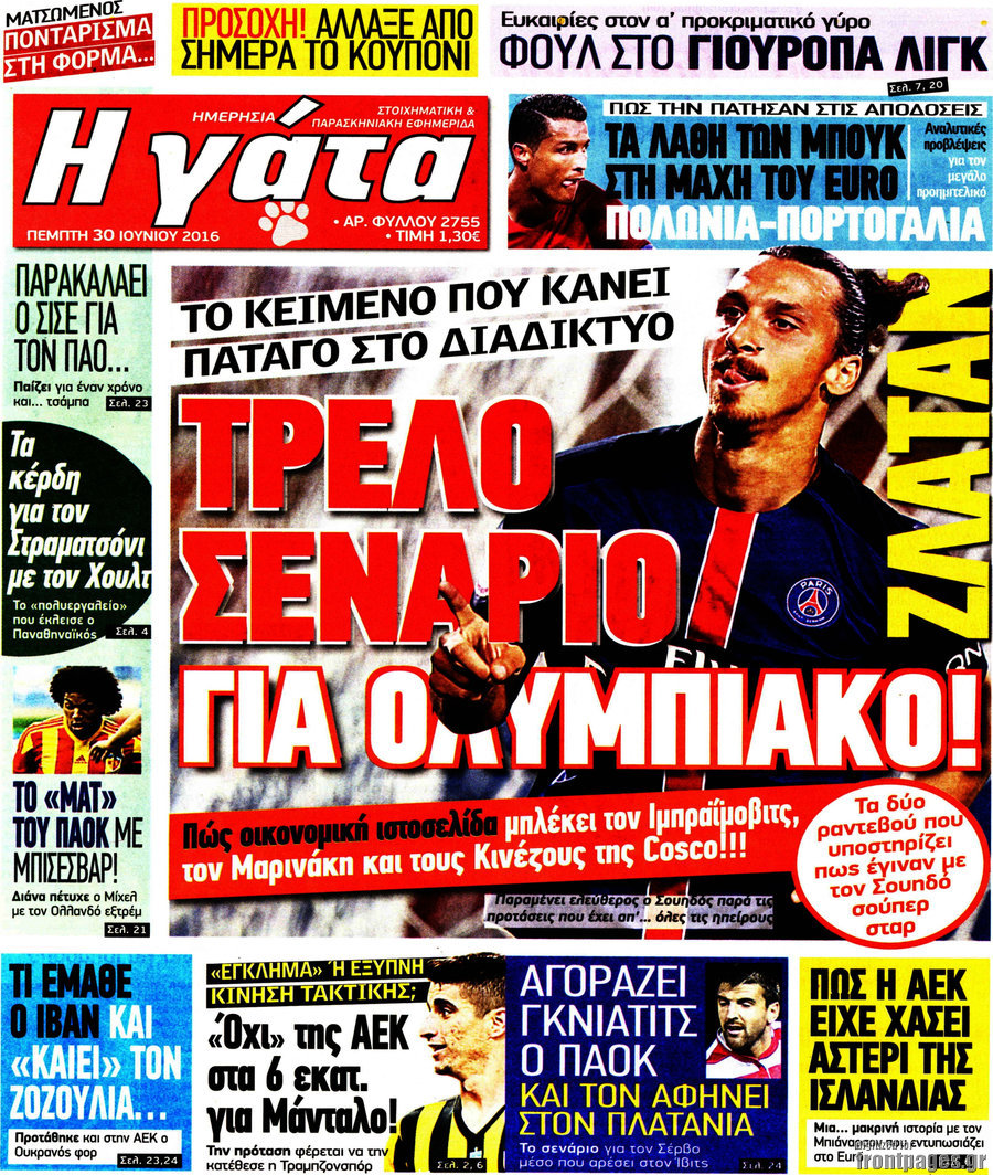 Η Γάτα