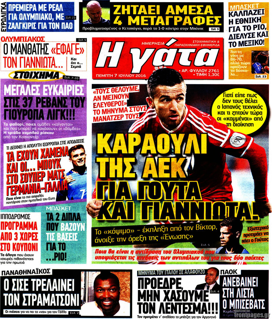 Η Γάτα