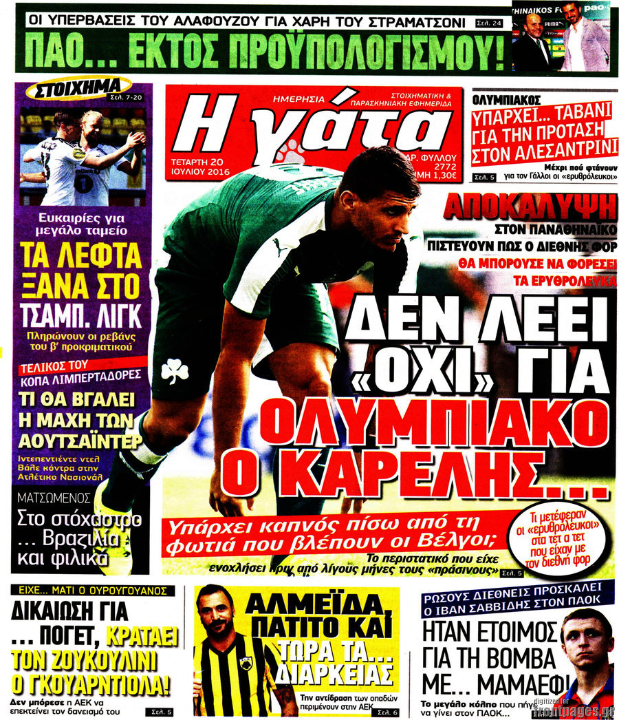Η Γάτα