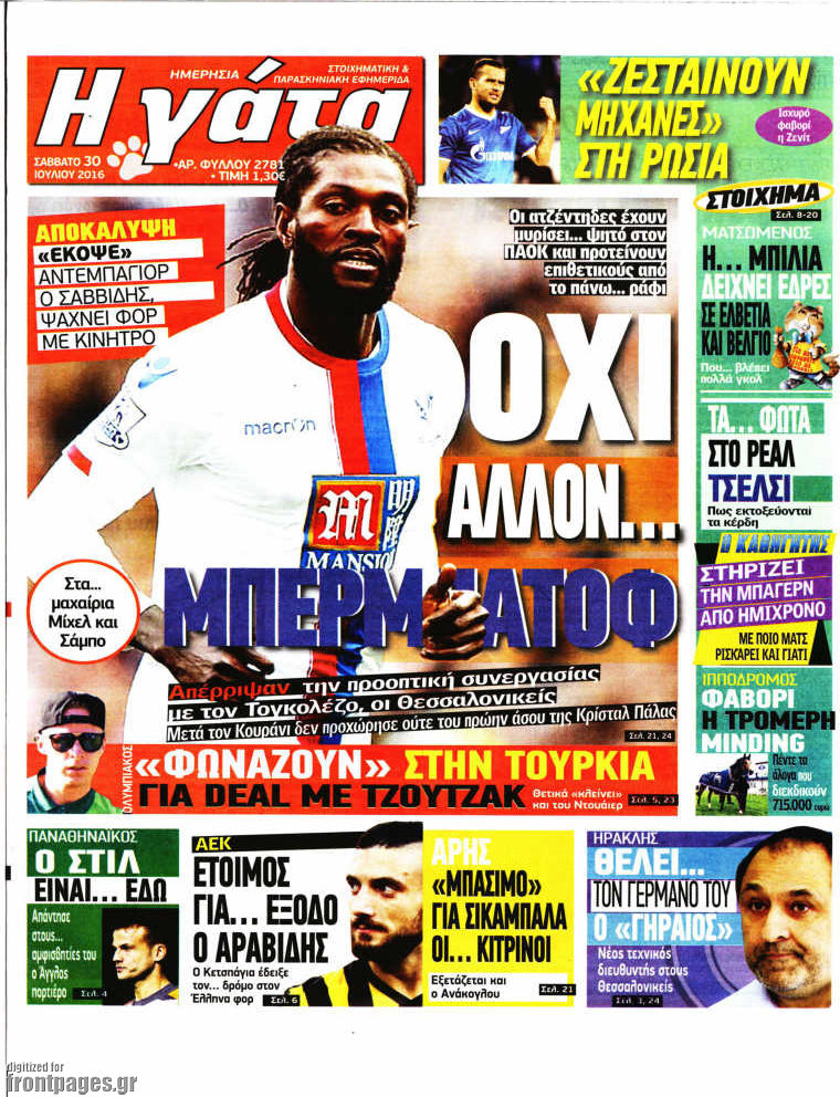 Η Γάτα