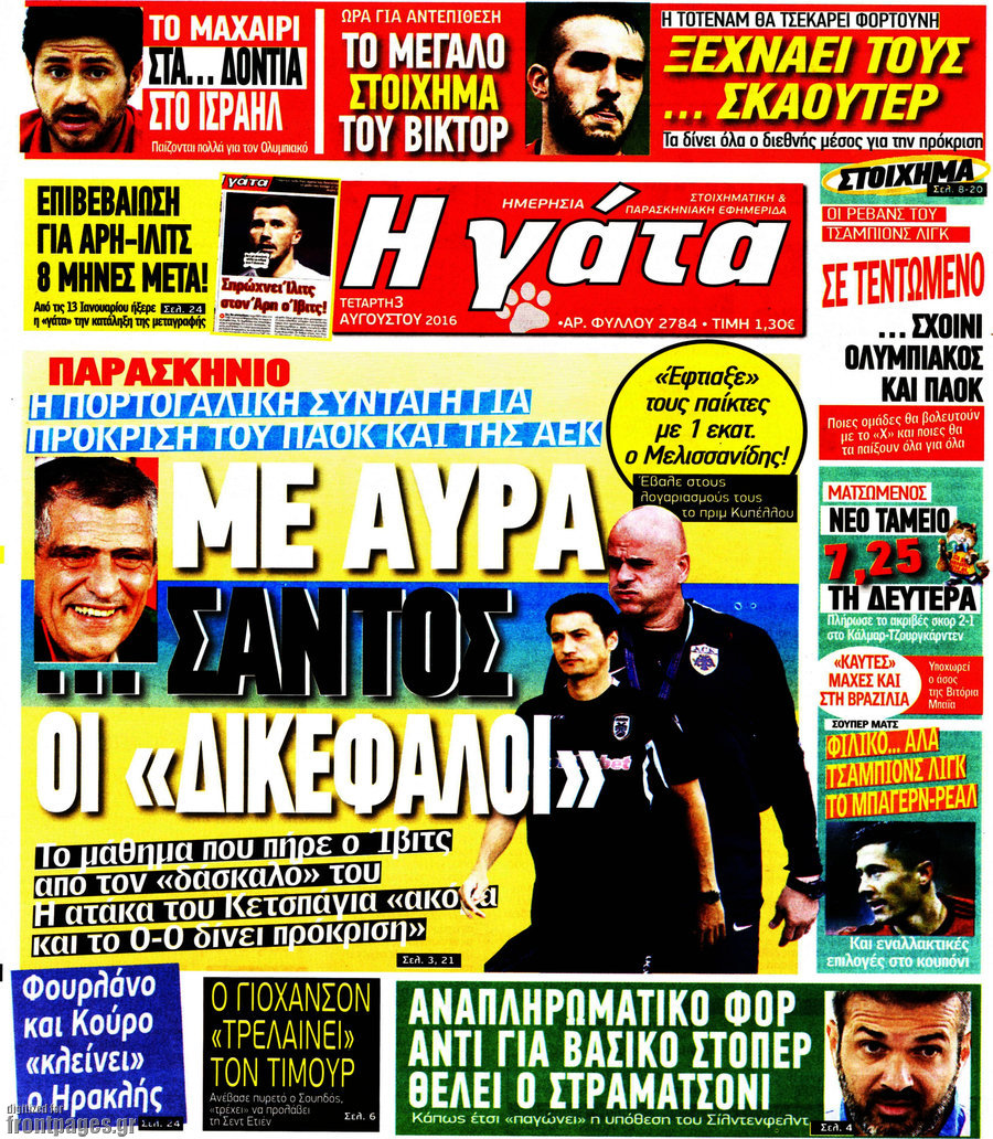Η Γάτα