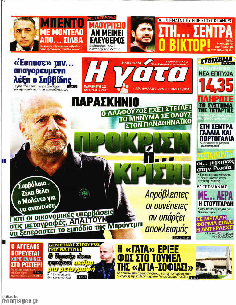 Η Γάτα