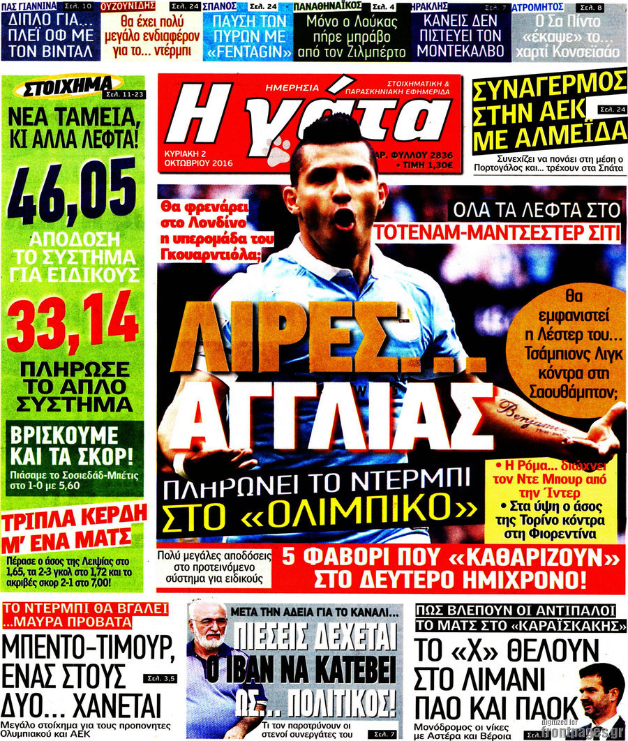 Η Γάτα