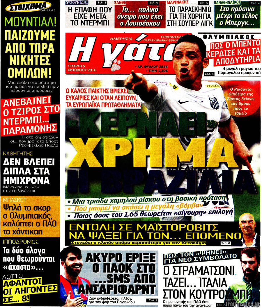 Η Γάτα
