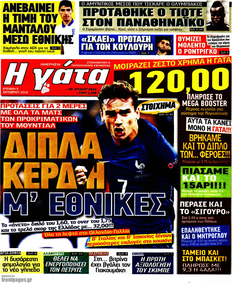 Η Γάτα
