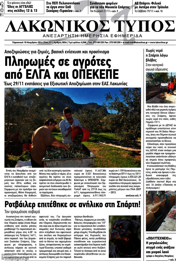 Λακωνικός Τύπος