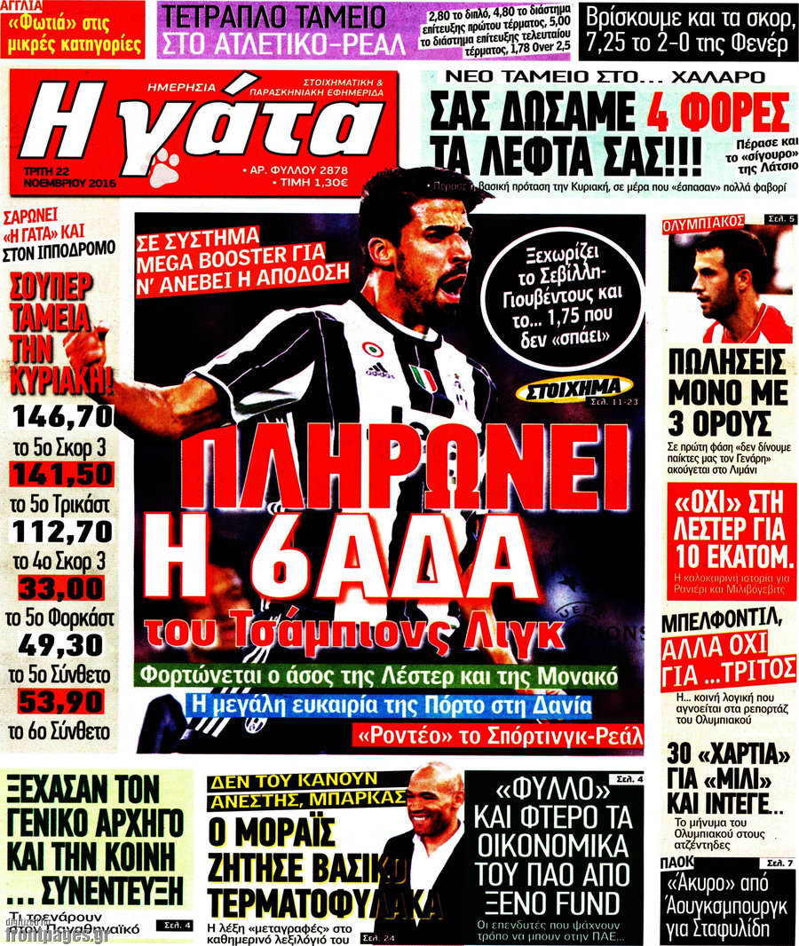 Η Γάτα