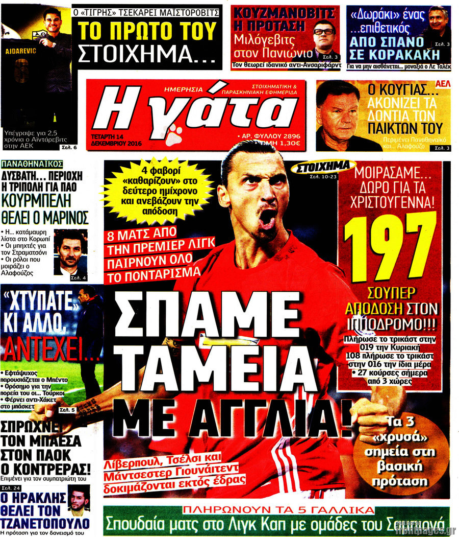 Η Γάτα