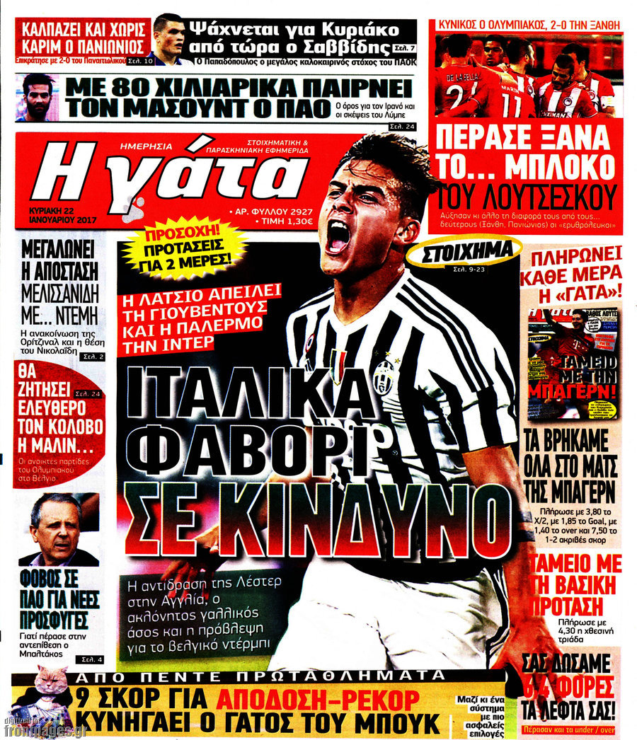 Η Γάτα