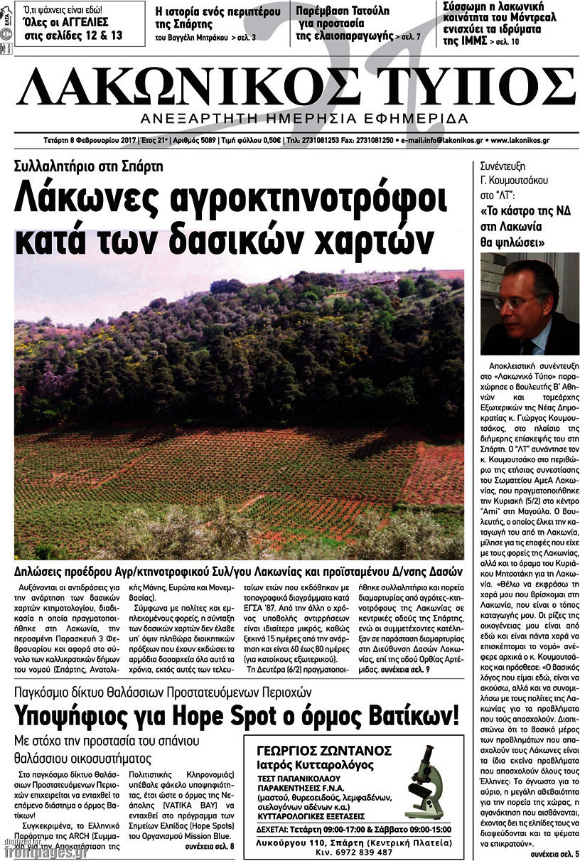 Λακωνικός Τύπος
