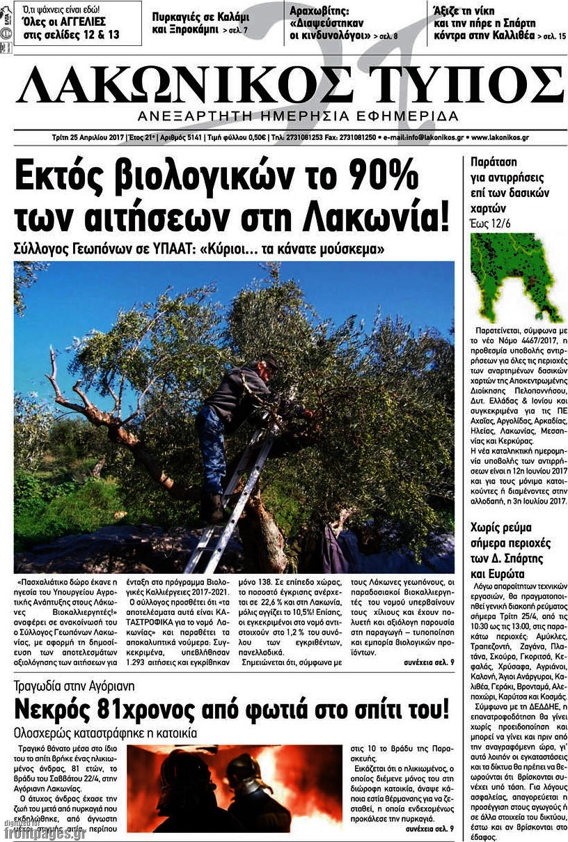 Λακωνικός Τύπος