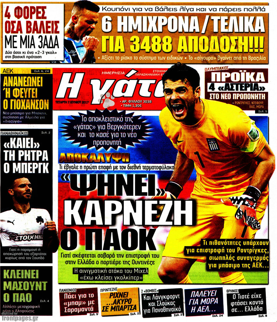 Η Γάτα