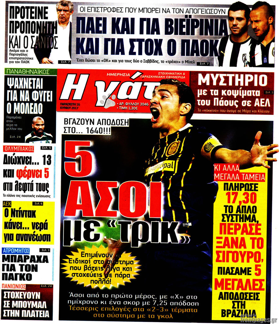Η Γάτα
