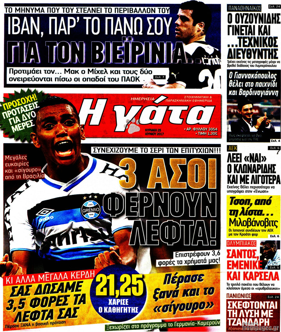 Η Γάτα