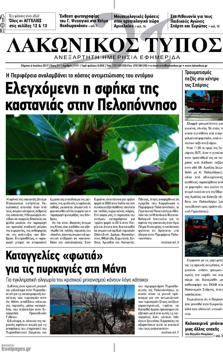 Λακωνικός Τύπος