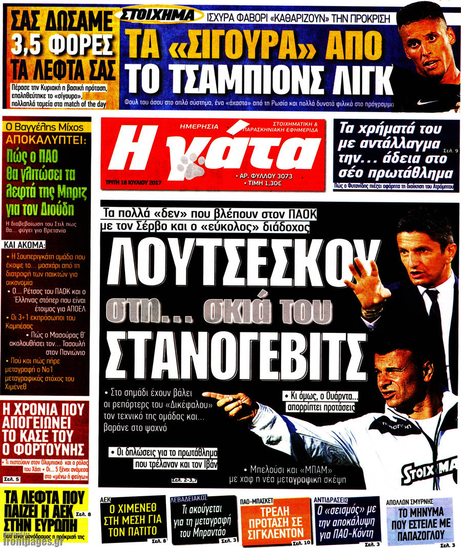 Η Γάτα