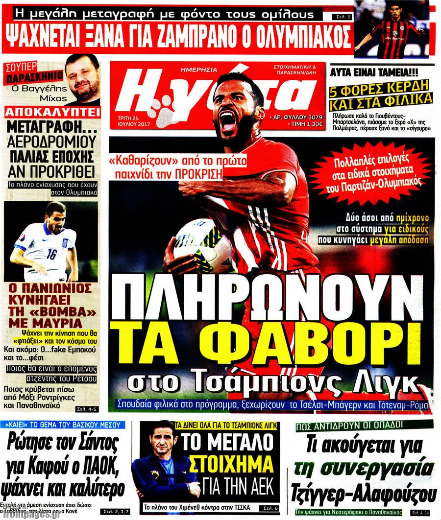 Η Γάτα